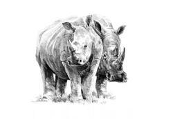 Malování skicovacími tužkami - Nosorožci