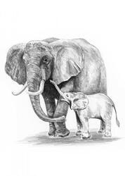 Malování skicovacími tužkami 13x18cm - sloní rodinka