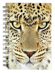 Notes 3D 9x13cm - gepard