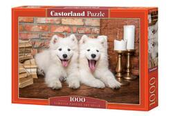 Puzzle dva bílí psi 1000dílků